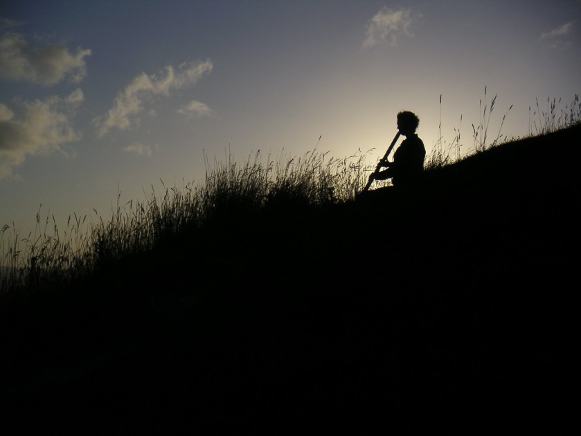 MINOLTA DIGITAL CAMERA